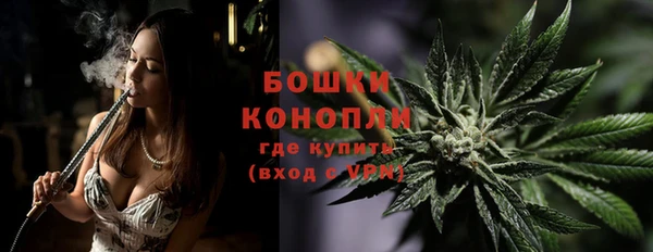 прущие крисы Аркадак
