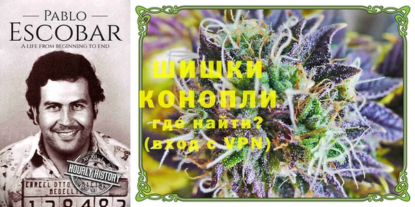 крисы Арсеньев