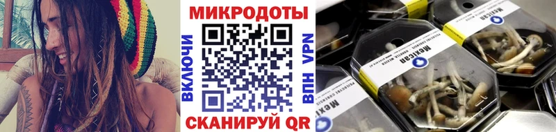 маркетплейс клад  Иланский  Псилоцибиновые грибы GOLDEN TEACHER 